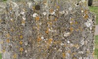 Avebury - photo: 0022