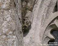 Broad Chalke - photo: 026