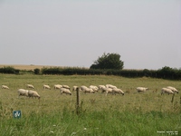 Bishopstone - photo: 00208