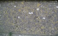 Broad Blunsdon - photo: 0183