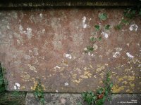 Broad Blunsdon - photo: 0184