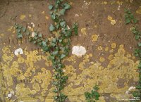 Broad Blunsdon - photo: 0191