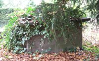 Broad Blunsdon - photo: 0209