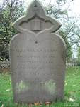 Broad Blunsdon - photo: 0216
