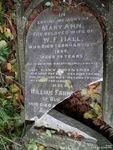 Broad Blunsdon - photo: 0217