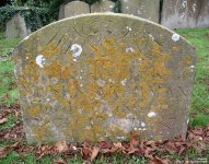 Broad Blunsdon - photo: 0227