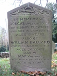 Broad Blunsdon - photo: 0291