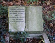 Broad Blunsdon - photo: 0314
