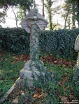 Broad Blunsdon - photo: 0315