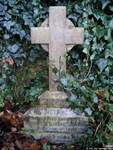 Broad Blunsdon - photo: 0319