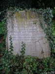 Broad Blunsdon - photo: 0323