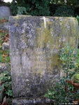 Broad Blunsdon - photo: 0346