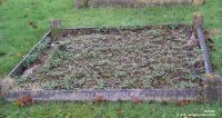 Broad Blunsdon - photo: 0361