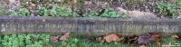 Broad Blunsdon - photo: 0364
