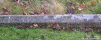 Broad Blunsdon - photo: 0390
