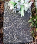 Broad Blunsdon - photo: 0403
