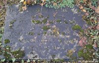 Broad Blunsdon - photo: 0408