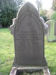 Broad Blunsdon - photo: 0417