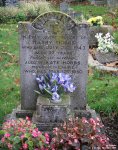 Broad Blunsdon - photo: 0432