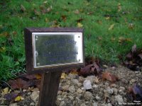 Broad Blunsdon - photo: 0452