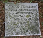 Broad Blunsdon - photo: 0484