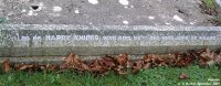Broad Blunsdon - photo: 0504