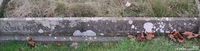 Broad Blunsdon - photo: 0570