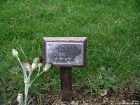Broad Blunsdon - photo: 0604