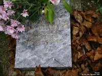 Broad Blunsdon - photo: 0631
