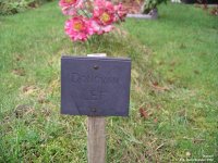 Broad Blunsdon - photo: 0633