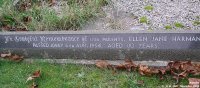 Broad Blunsdon - photo: 0655