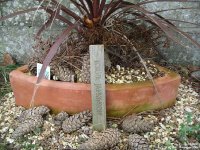 Broad Blunsdon - photo: 0726