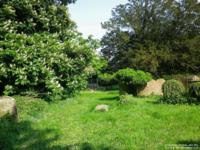 Broad Hinton - photo: 0318