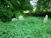Broad Hinton - photo: 0319