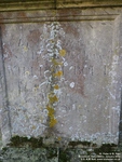 Broadwell - photo: 00024