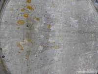 Broadwell - photo: 00052