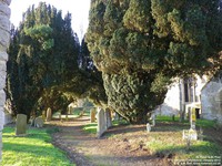 Broadwell - photo: 00135