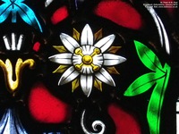 Broadwell - photo: 00161