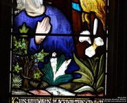 Bromham - photo: 00289