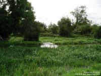 Bremilham - photo: 0055