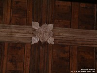 Brinkworth - photo: 0195