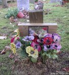 Collingbourne Ducis - photo: 044