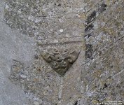 Collingbourne Ducis - photo: 308