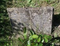 Charlton (nr Ludwell) - photo: 077
