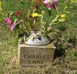 Charlton (nr Ludwell) - photo: 125