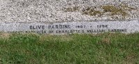 Charlton (nr Ludwell) - photo: 154