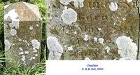 Chiseldon - photo: D00056