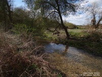 Coombe Bissett - photo: 0179