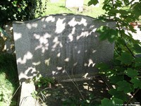 Corston - photo: 00018