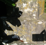 Corston - photo: 00052